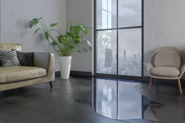 Practical Tips to Safeguard Your Business Against Water Damage Risks