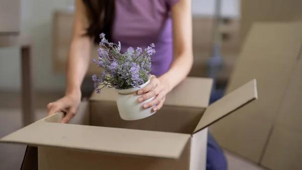 From Packing to Unpacking: Smooth Move Relocation Services Handles It All