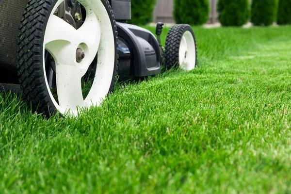 Affordable Weekly and Monthly Lawn Care Service