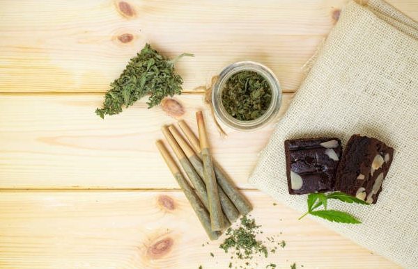 Why Terp Sourced Pre Rolls Are Getting Attention Right Now