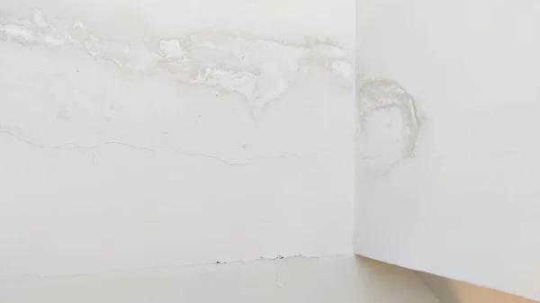Reliable 24 Hour Water Damage Repair Services